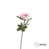 单头玫瑰 | 洛神 商品缩略图4