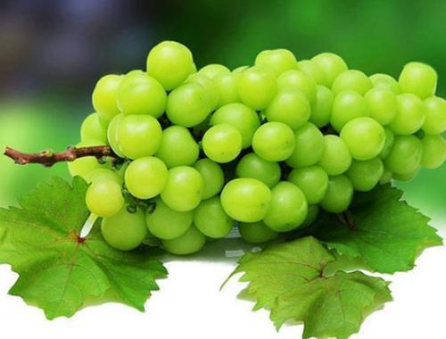 2025年山西晴王葡萄  净重5斤 顺丰冷链 商品图2