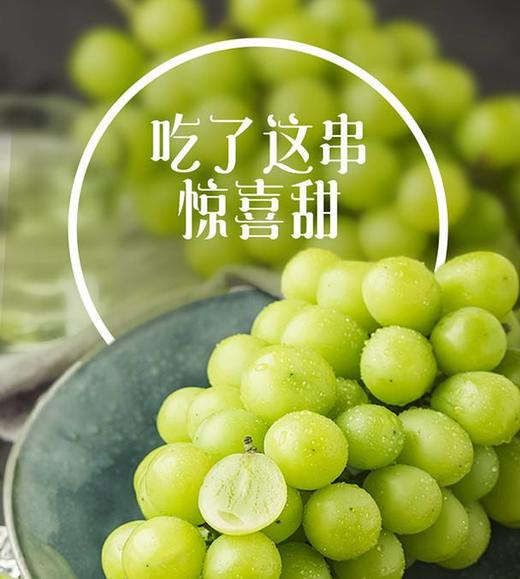 2025年山西晴王葡萄  净重5斤 顺丰冷链 商品图5