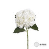 绣球 | 白色 商品缩略图0
