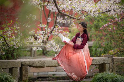 【马未都推荐版唐诗宋词品读套系】全本全注带424幅稀世名画：《唐诗三百首》 《宋词三百首》 商品图12