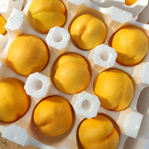 【芒芒桃第三季】9枚/12枚可选 芒果的味道 桃子的口感