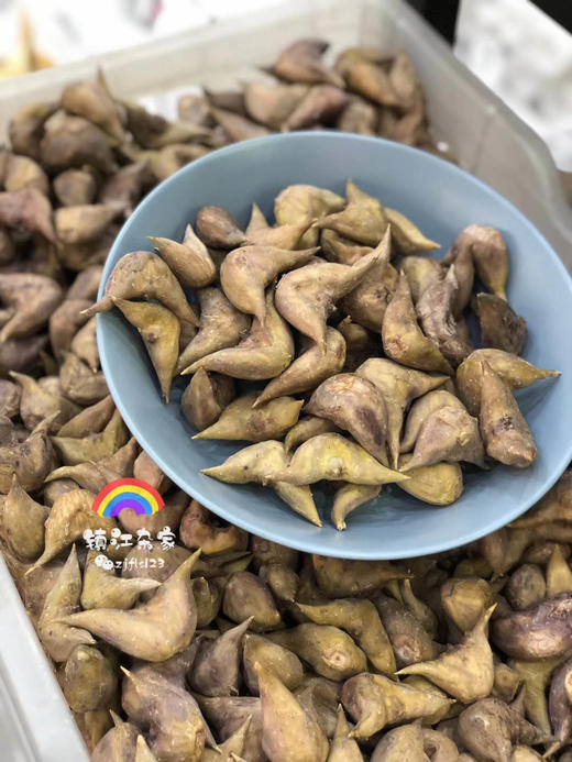 周一取货：【新鲜熟老菱】特价9.9元/份，一斤左右，粉粉糯糯，口感香甜！ 商品图1