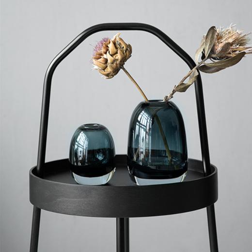 【花瓶】比利时设计轻奢厚重透明玻璃花瓶装饰水培工艺品家居装饰摆件 商品图0