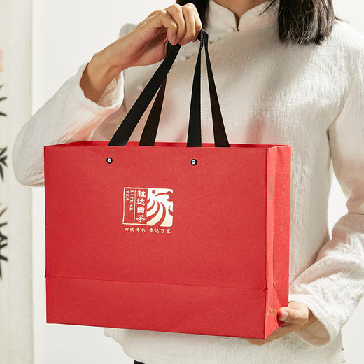 家天下丨 2020年 老树白毫银针 60g*6包 商品图9