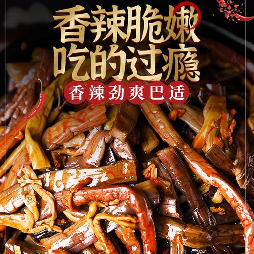 素亦派香辣蕨菜约36g/袋*14袋约504g 商品图1