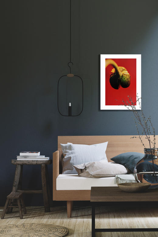 王小慧花之灵摄影装饰画 003