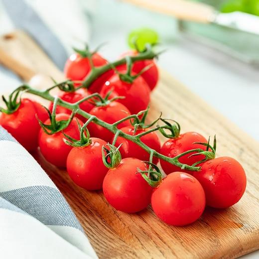 玲珑圣女果 1斤 （小果） 商品图2