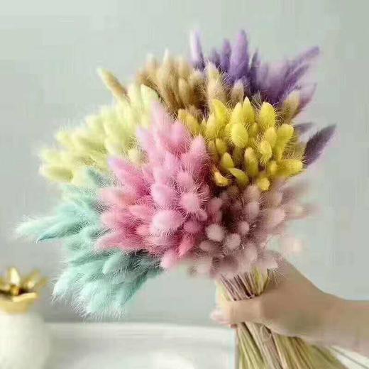 【读本鲜花】干花 兔尾草29.8元1扎/39.8元2扎(下单请备注颜色)