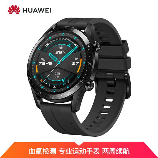 HUAWEI WATCH GT2（46mm） 曜石黑 华为手表剑南春定制款 运动智能手表（两周续航+高清彩屏+蓝牙通话+麒麟芯片+心脏健康） 商品图0