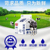 爆品秒杀~【光明小方盒纯牛奶】 200ml/盒*8/16/24 高品质牛乳  高温杀菌乳 商品缩略图3