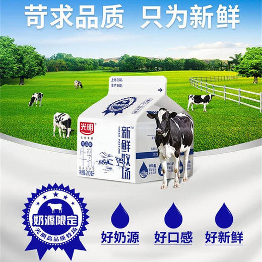 爆品秒杀~【光明小方盒纯牛奶】 200ml/盒*8/16/24 高品质牛乳  高温杀菌乳 商品图3