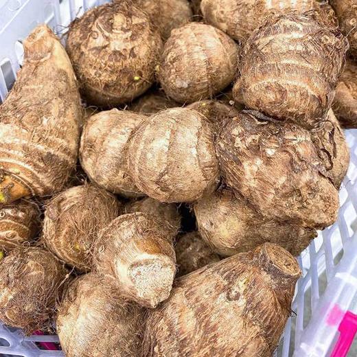 【奶香小芋头】约4.5斤/箱，绵，香，甜 商品图5