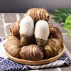 【奶香小芋头】约4.5斤/箱，绵，香，甜 商品缩略图0