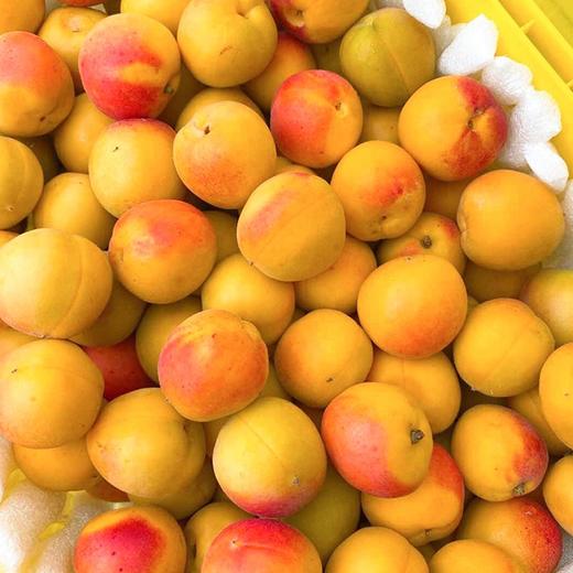 【空运.新疆吊干杏】约3斤/框，蜜甜、肉厚 商品图4