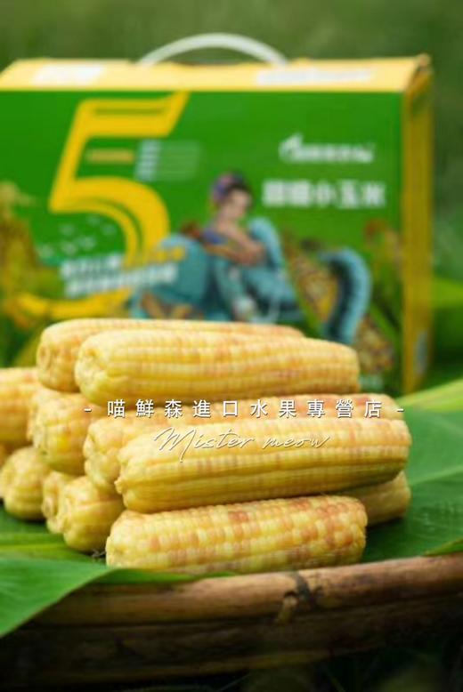 真空【版纳小包谷】香糯小玉米（一箱10包） 商品图3