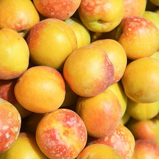 【空运.新疆吊干杏】约3斤/框，蜜甜、肉厚 商品图2