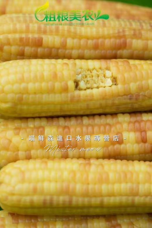 真空【版纳小包谷】香糯小玉米（一箱10包） 商品图2