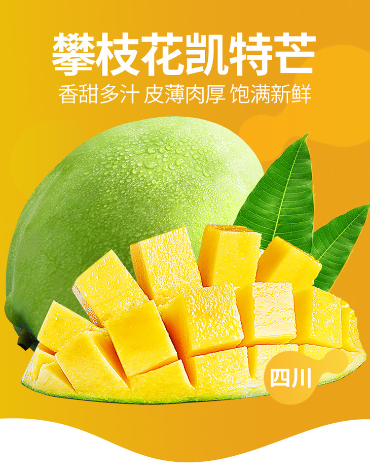 攀枝花凯特芒5斤9斤当季水果凯特芒果新鲜大芒果芒果软糯香甜多规格
