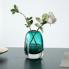 【花瓶】比利时设计轻奢厚重透明玻璃花瓶装饰水培工艺品家居装饰摆件 商品缩略图2