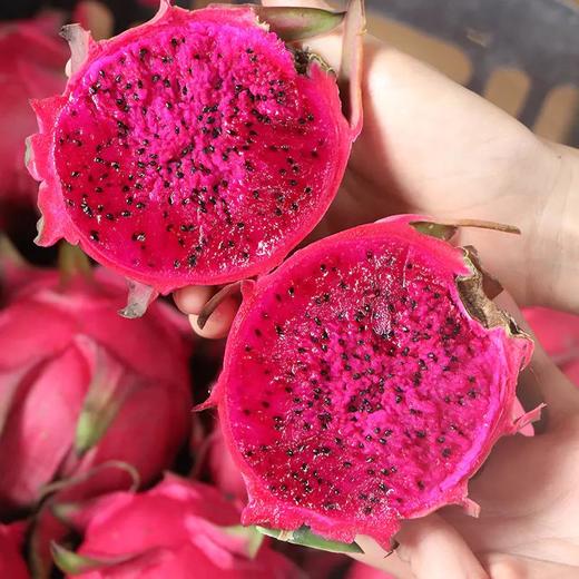 广西【金都一号红心火龙果】香甜爽滑、满口爆汁、清甜美味 商品图1