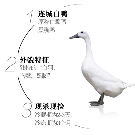 【连城白鸭】仿野生养殖，肉质鲜嫩，汤味清醇，无腥味，不油腻，营养更美味 商品图6