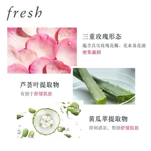 【涂抹式合集】Fresh馥蕾诗玫瑰保湿面膜/红茶白罐面膜/红茶黑罐面膜/黄糖面膜 100ml补水滋润 修复清洁去黄 商品图1