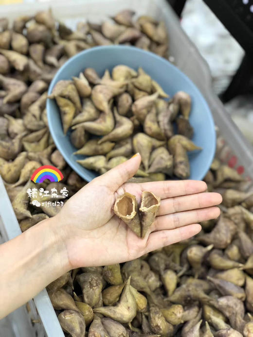 周一取货：【新鲜熟老菱】特价9.9元/份，一斤左右，粉粉糯糯，口感香甜！ 商品图2