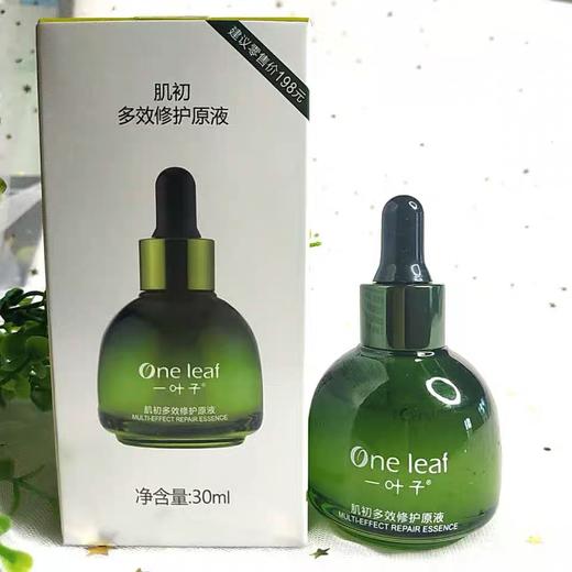 一叶子肌初30ml修复原液（无塑封） 商品图4