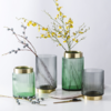【花瓶】*北欧轻奢风彩色玻璃花瓶配金色环 水培花器 美式样板房桌面摆件 商品缩略图0