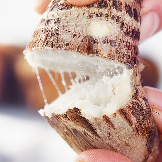 【奶香小芋头】约4.5斤/箱，绵，香，甜 商品图4