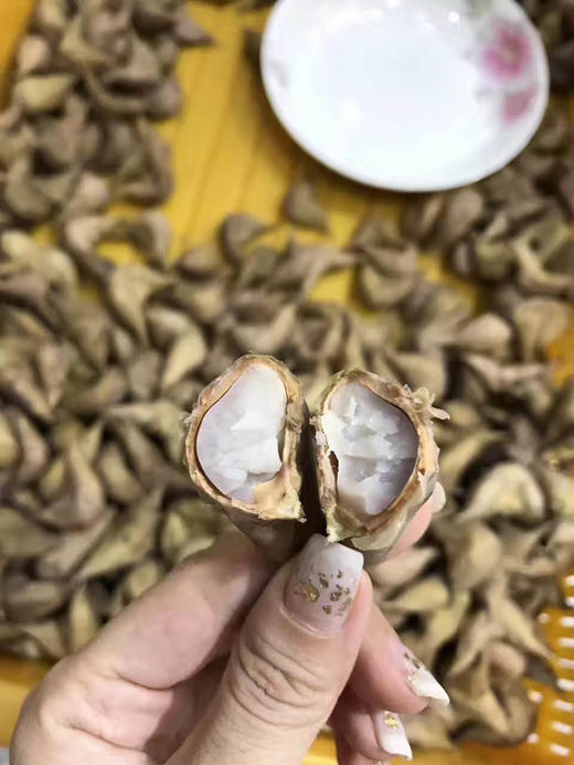 周一取货：【新鲜熟老菱】特价9.9元/份，一斤左右，粉粉糯糯，口感香甜！ 商品图3