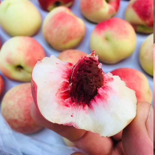 助农陕西珍珠枣油桃现摘小油桃肉厚脆甜爽口