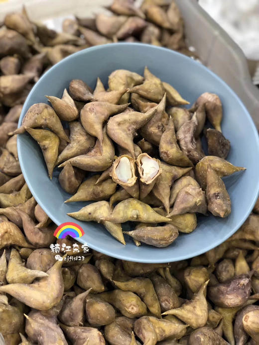 周一取货：【新鲜熟老菱】特价9.9元/份，一斤左右，粉粉糯糯，口感香甜！ 商品图0