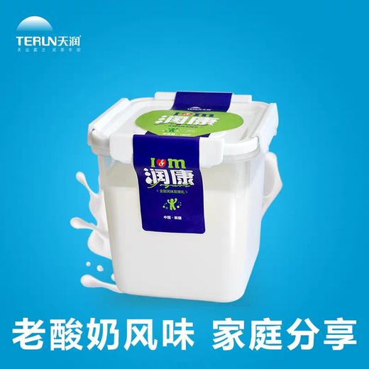 【拍下10天内发货】润康低温桶装酸奶  全脂风味发酵乳 新疆特色酸奶 1KG*2桶（家庭装） 商品图3