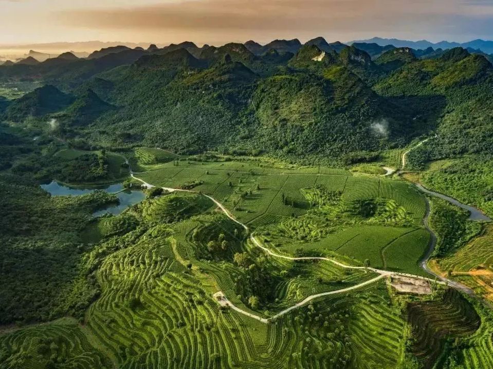 广东省内游 | 英德 积庆里茶园山色二日游