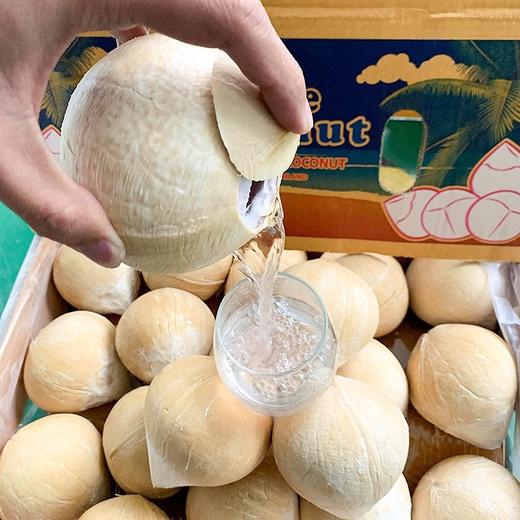 泰国奶香椰皇 白椰 中果 25.8/ 5 个口感好 推荐冰箱冷藏 商品图1