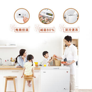 海尔（Haier）冷柜BC/BD-201HEJ 商品图3