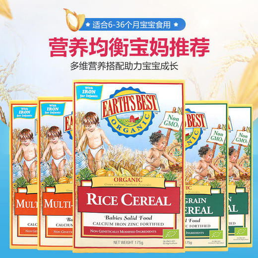 Earth's Best爱思贝米粉婴儿营养高铁米糊米粉宝宝辅食 商品图0