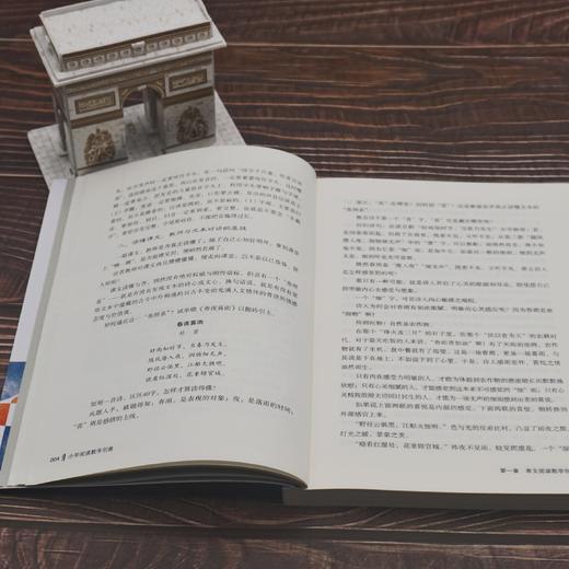 小学阅读教学创意 大夏书系阅读教育 特级教师孙建锋著 小学语文教师必读 商品图2