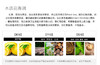 意大利宝格丽BVLGARI黑茶中性香水EDT75ML  香港直邮JPY带授权招加盟代理 商品缩略图3