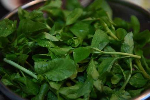 猪肝菜 约半斤/份