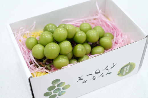 【茉莉青提】水果戚风蛋糕（茉莉奶油➕青提夹心） 商品图3