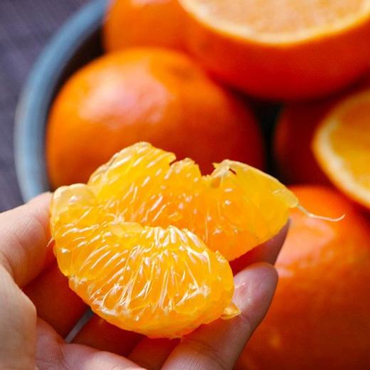 【南非软皮柑】10个/袋，纯甜爆汁 商品图2