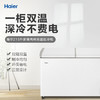 海尔（Haier）冷柜FCD-215SEA 商品缩略图1