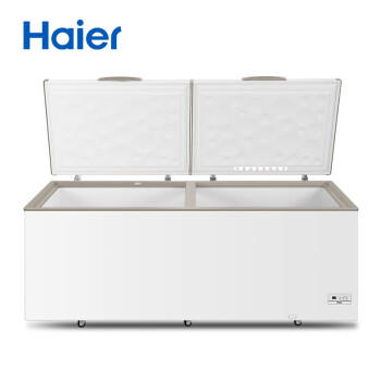 海尔（Haier）冷柜BC/BD-825TEA 商品图7