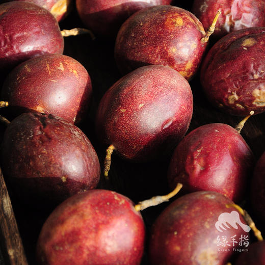 生态百香果（云南） | 合作生产*Eco-sweet  passion fruit | Coproduction 商品图1