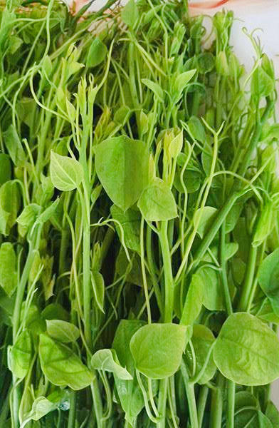 龙须菜 250g/500g 商品图1