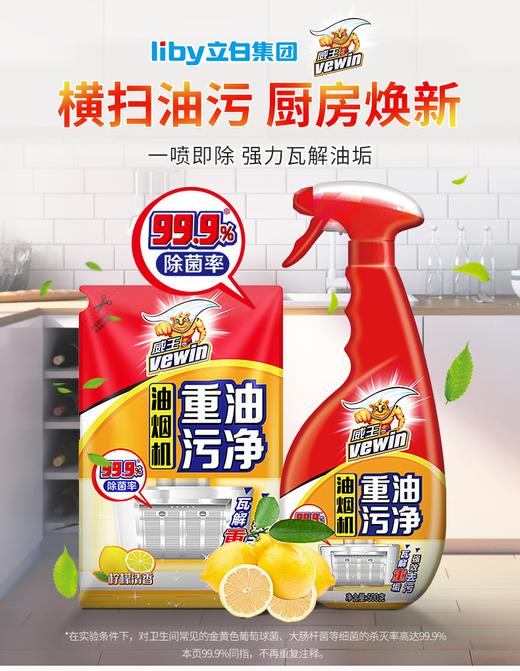 威王油烟机重油污净500g