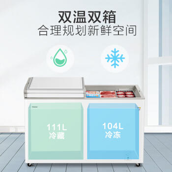 海尔（Haier）冷柜FCD-215SEA 商品图2